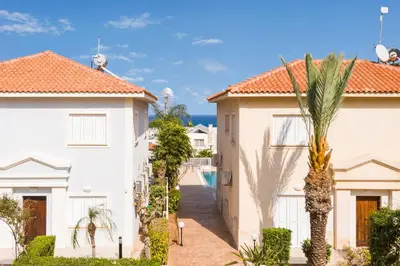 a villa with a palm tree in front of a house at Villa Emily in Protaras