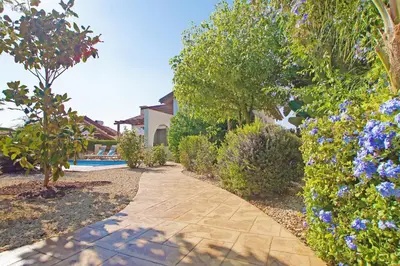 a walkway through a garden with blue flowers at Villa Louisa in Ayia Napa