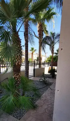 a group of palm trees in front of a fence at GREAT VILLA MARIA in Paralimni