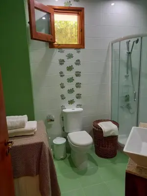 a bathroom with a toilet and a shower at Glykoharama Cottage in Kalopanayiotis