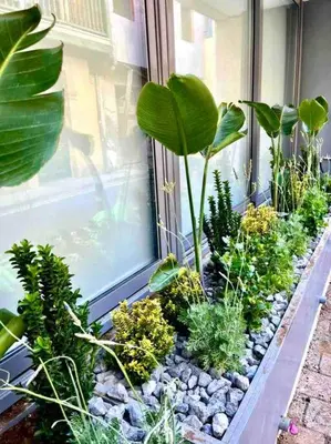 a window sill with plants and rocks next to a window at Demetra 1 Bdr Down Town Nicosia in Nicosia