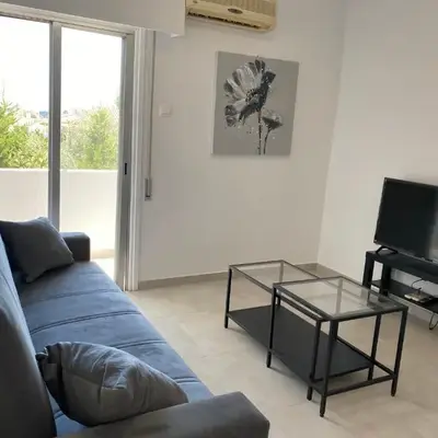 1-bedroom apartment with view