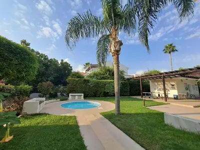 a palm tree and a swimming pool in a yard at Limassol Star 6 in Limassol