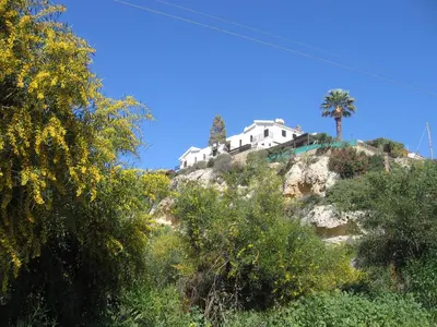 a house on top of a hill with trees at Maria Villa in Pissouri