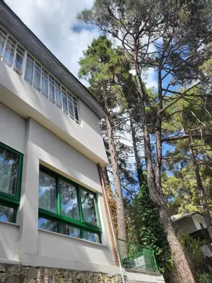 a house with green windows and a tree at ThePlatres.Nest in Platres