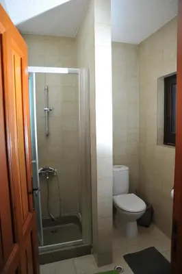 a bathroom with a toilet and a shower with a glass door at IRENE cottage in Kakopetria