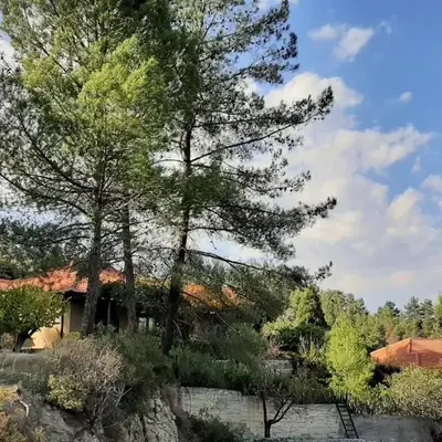 IRENE cottage