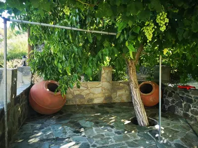 a tree in two large pots next to a stone wall at Veranda in Agros