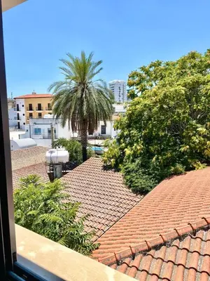 a view of a tile roof with a palm tree at Nemesis Second floor studio in downtown Nicosia in Nicosia