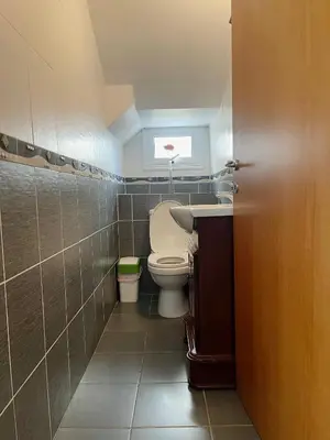 a bathroom with a toilet and a sink and a window at Nissi Beach Golden Villas in Ayia Napa