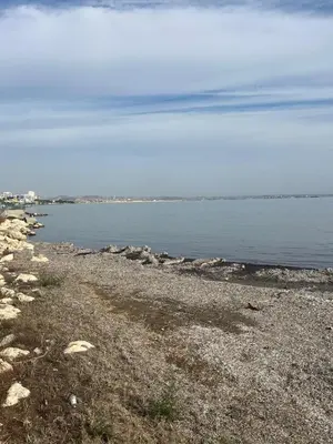 a rocky shoreline with a large body of water at Anamor apartment 408 in Larnaka