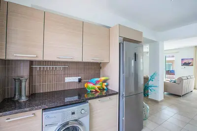 a kitchen with a washer and dryer on a counter at Villa Pepper in Protaras