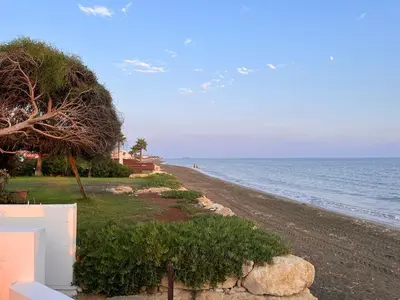 a beach with a tree and the ocean at Beach Front Periyiali Gardens in Pervolia