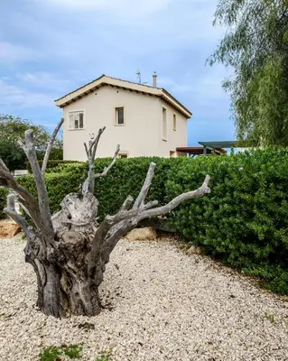 a tree stump in front of a house at Protaras Artisan Seafront Villa 1 in Protaras