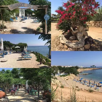 a collage of photos of a beach with chairs and flowers at Andros Apt 2 Bed, Free Wi-fi, Safe, Complex Pool in Paralimni