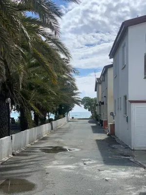 an empty street with palm trees and the ocean at Leonidas Seaside in Meneou