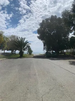 an empty road with trees and the ocean in the background at Leonidas Seaside in Meneou