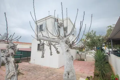 a tree with no leaves in front of a building at Peaceful Cozy Home Great Location in Protaras