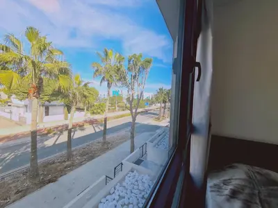 a window with a view of a street and palm trees at STAY Anemone 20 in Protaras