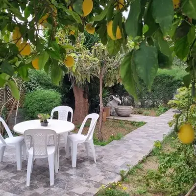Elpida Lemon Garden House