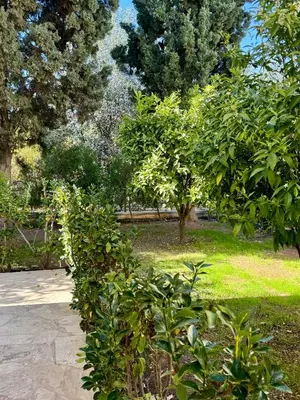 a bush in a park with trees and grass at Villa Lorena Protaras in Protaras